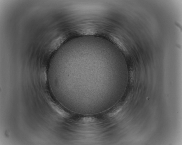 X0000097790541200803141831
