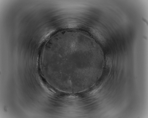 X0000097790542200803141831