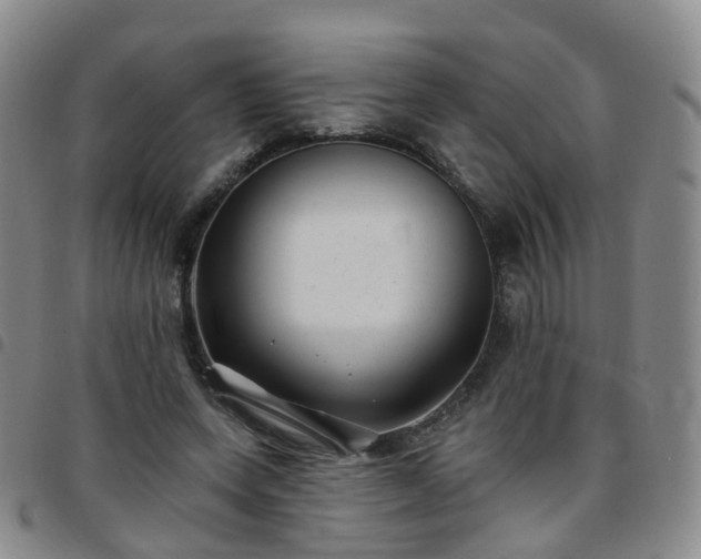 X0000097790543200803141831