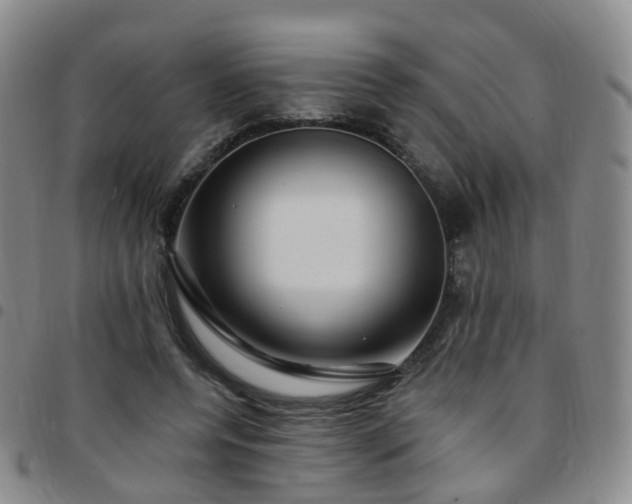 X0000097790544200803141831