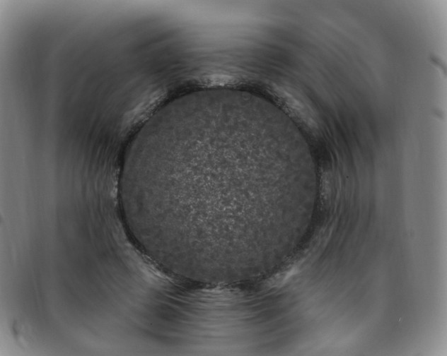 X0000097790545200803141831