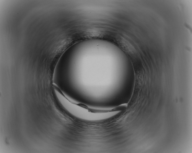 X0000097790546200803141831