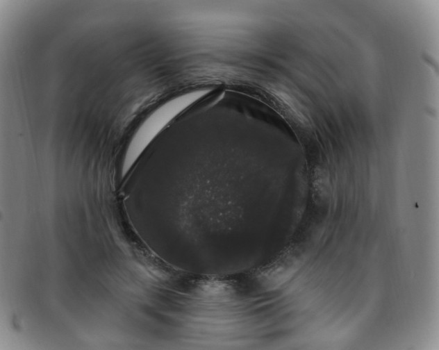 X0000097790547200803141831