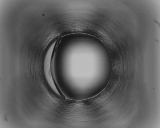 X0000097790548200803141831