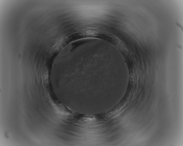 X0000097790552200803141831