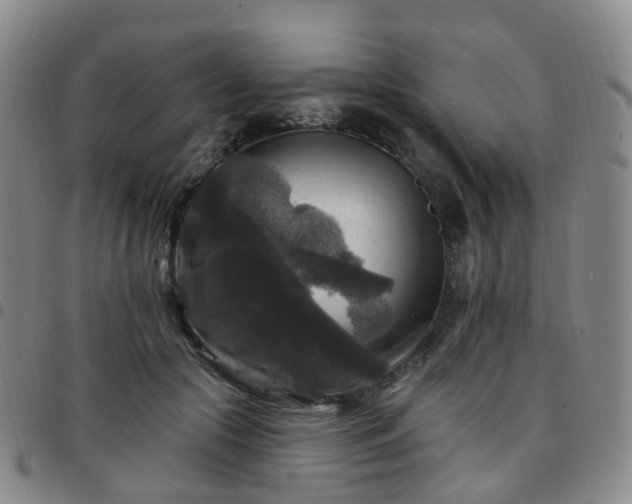 X0000097790553200803141831