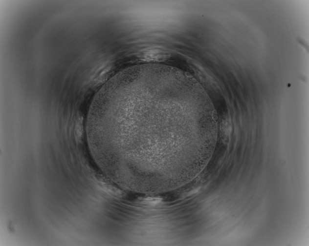 X0000097790554200803141831