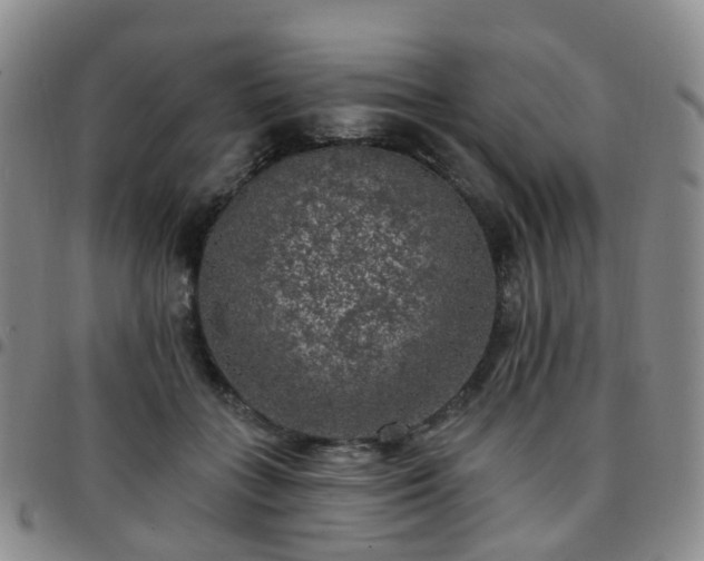 X0000097790555200803141831