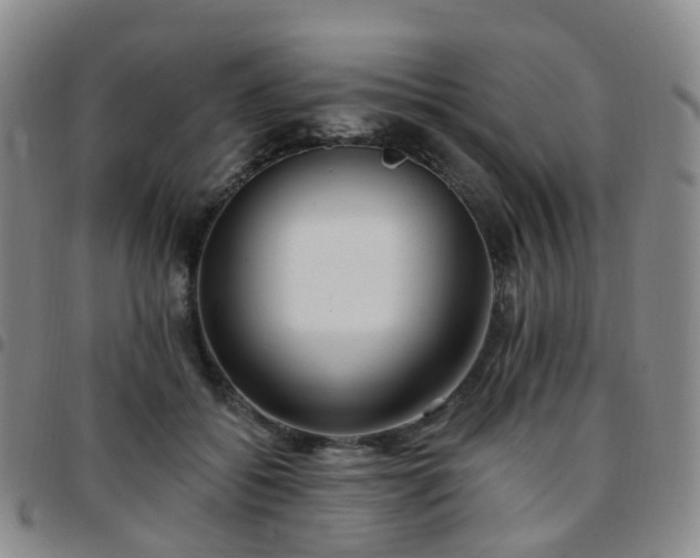 X0000097790556200803141831
