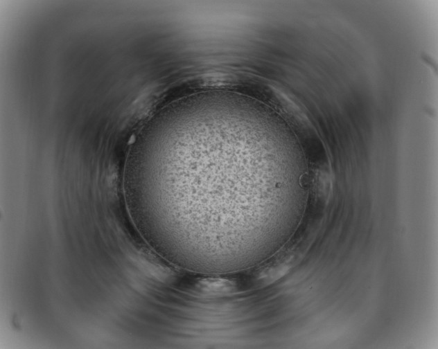 X0000097790557200803141831