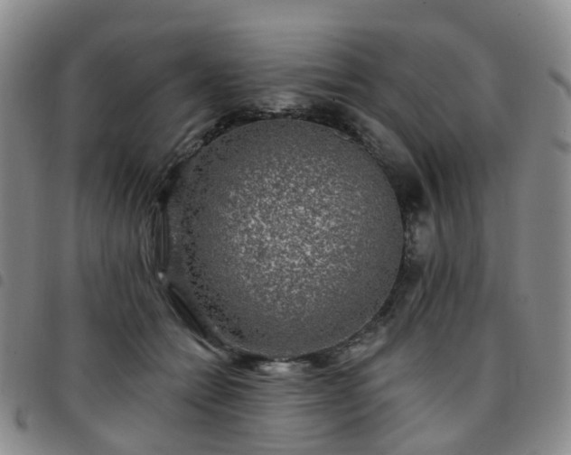 X0000097790558200803141831