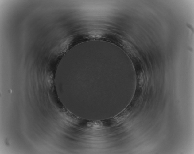 X0000097790559200803141831