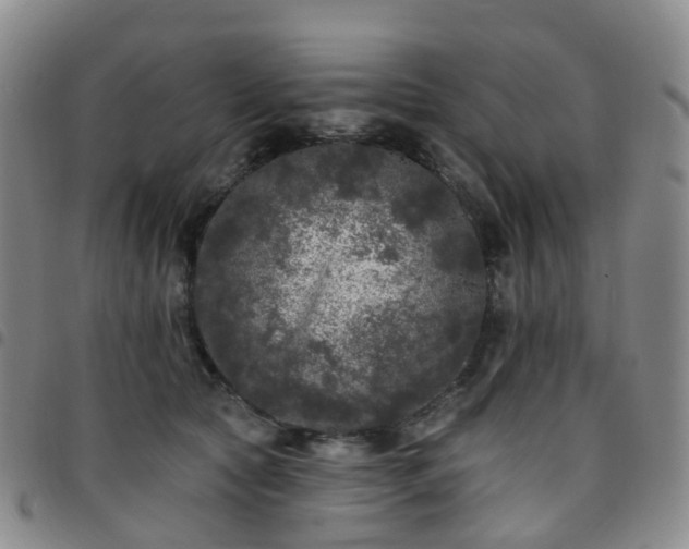 X0000097790561200803141832