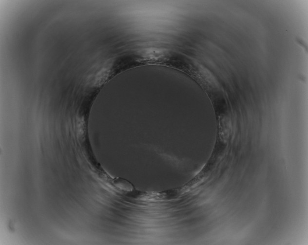 X0000097790563200803141832