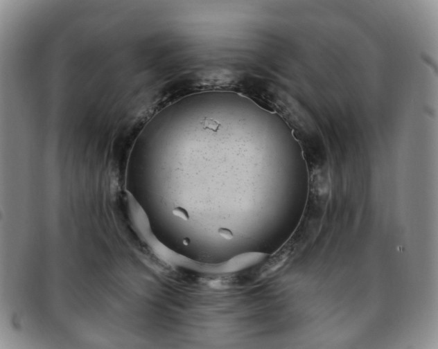 X0000097790564200803141832