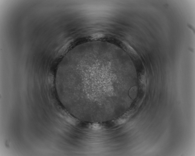 X0000097790565200803141832