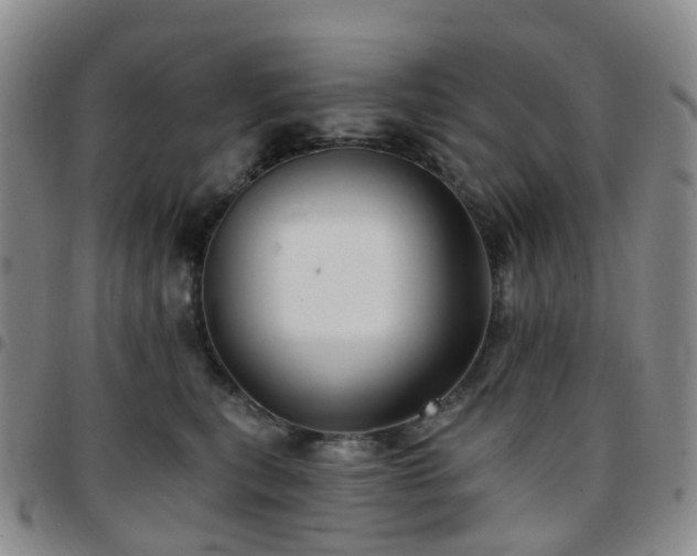 X0000097790567200803141832