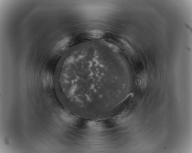 X0000097790568200803141832
