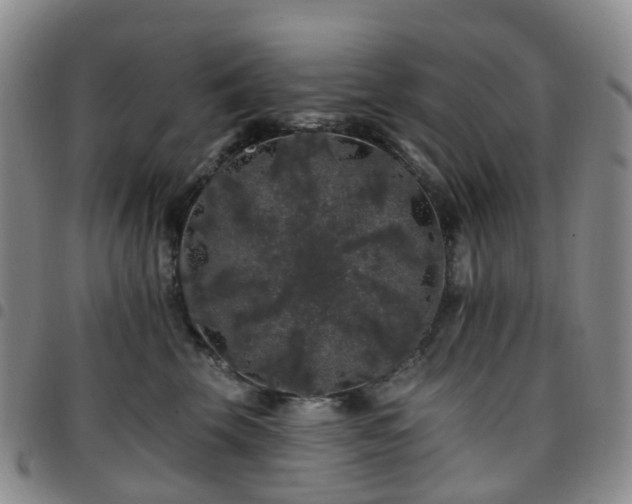 X0000097790569200803141832