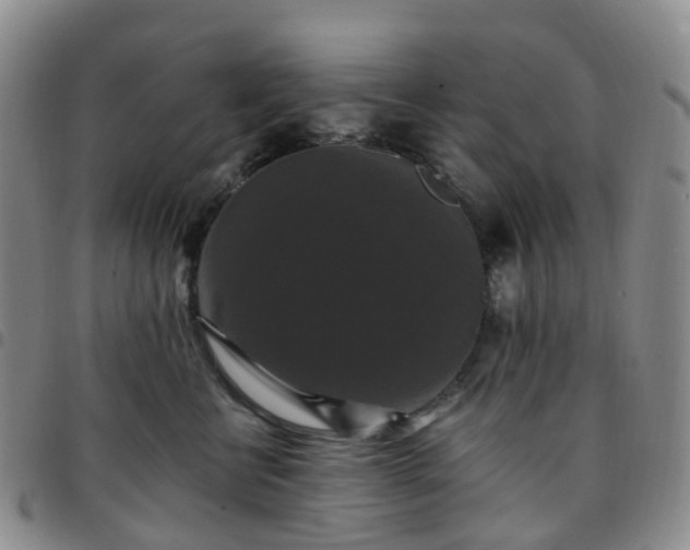 X0000097790570200803141832