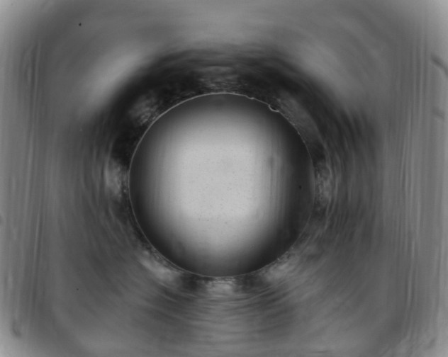 X0000097790574200803141832