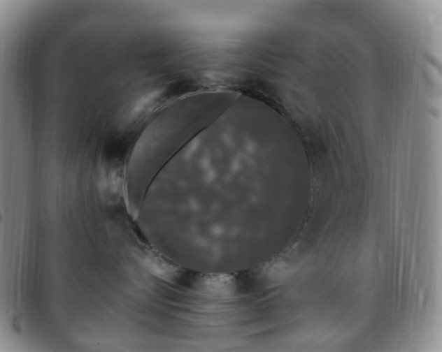X0000097790576200803141832