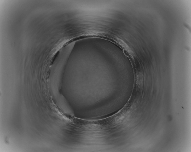 X0000097790577200803141831