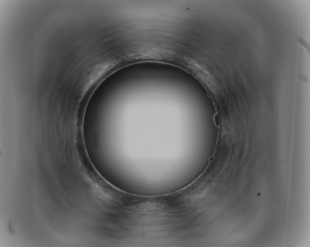 X0000097790578200803141831