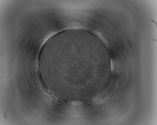 X0000097790579200803141831