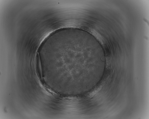 X0000097790580200803141831