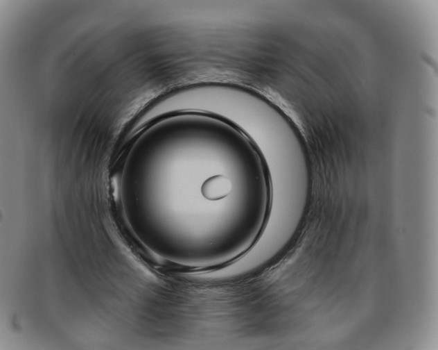 X0000097790581200803141831