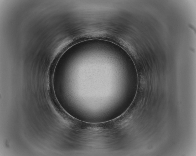 X0000097790582200803141831