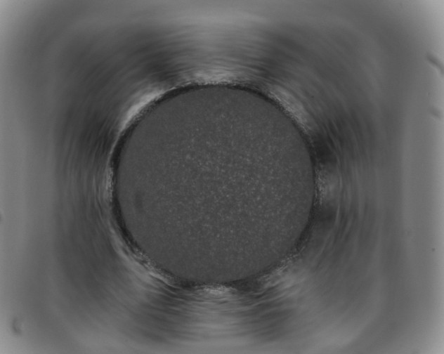 X0000097790583200803141831
