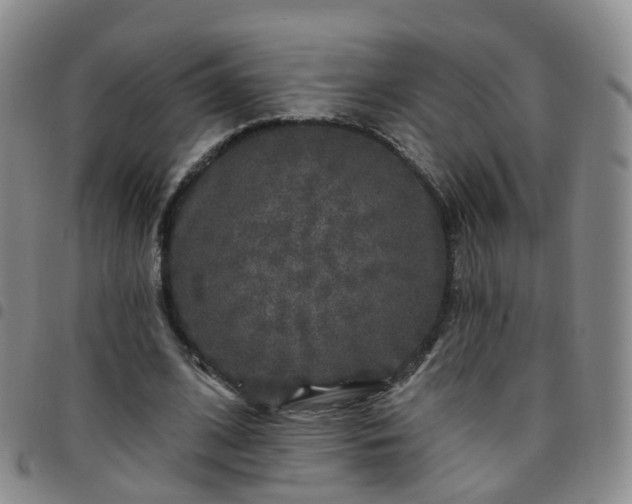 X0000097790584200803141831