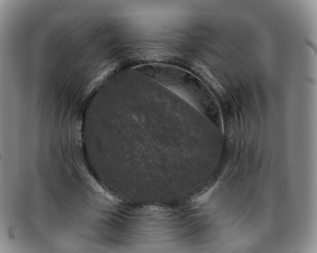 X0000097790585200803141831