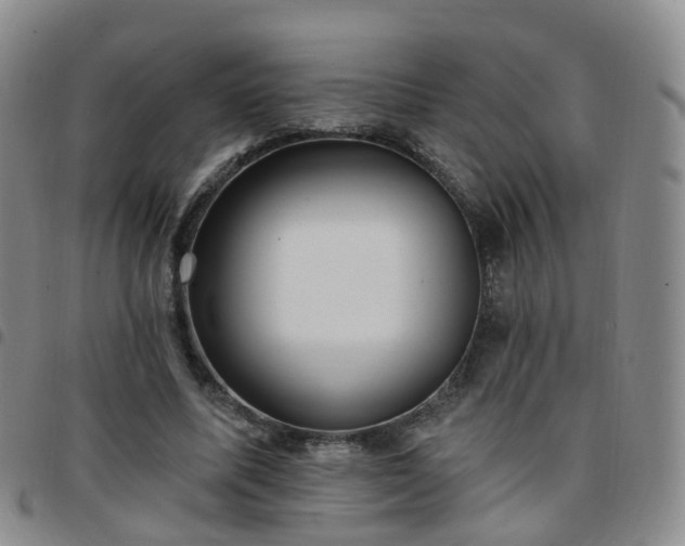X0000097790587200803141831
