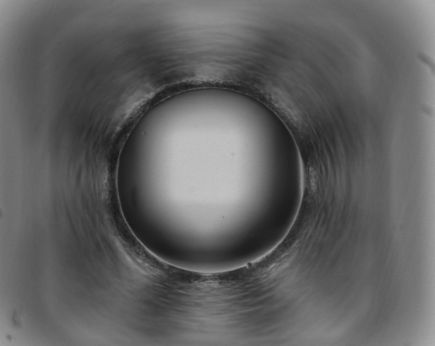 X0000097790588200803141831