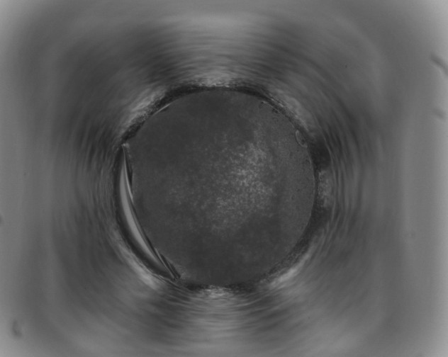 X0000097790589200803141831