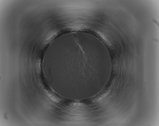 X0000097790590200803141831