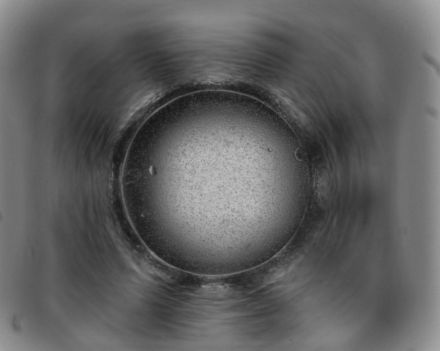 X0000097790591200803141831