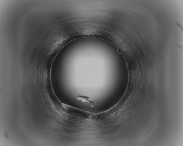 X0000097790592200803141831