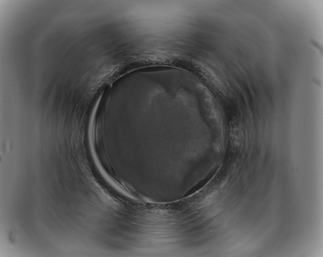 X0000097790593200803141831