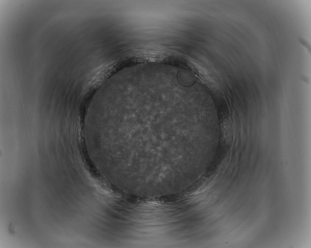 X0000097790594200803141831
