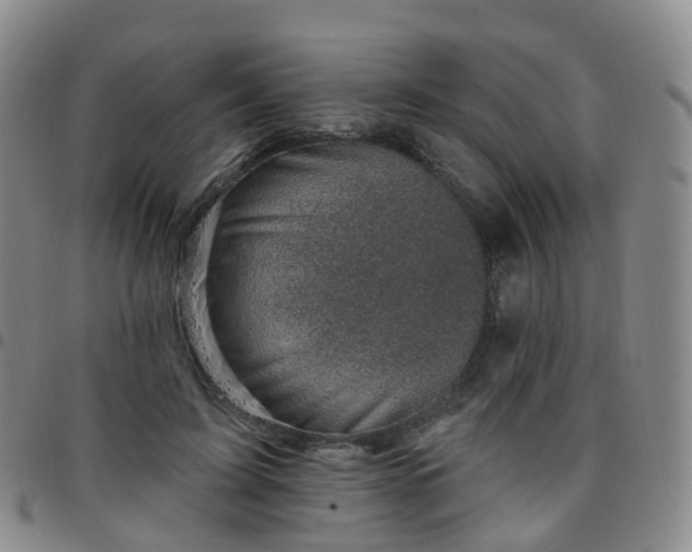 X0000097790595200803141831
