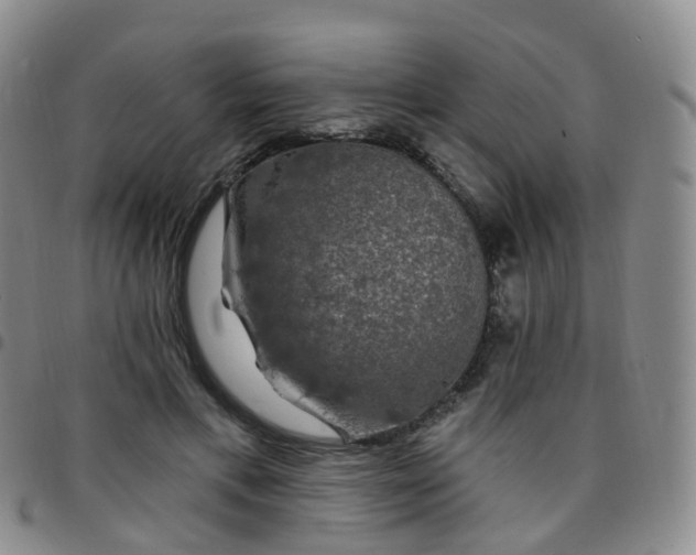 X0000097790597200803141831