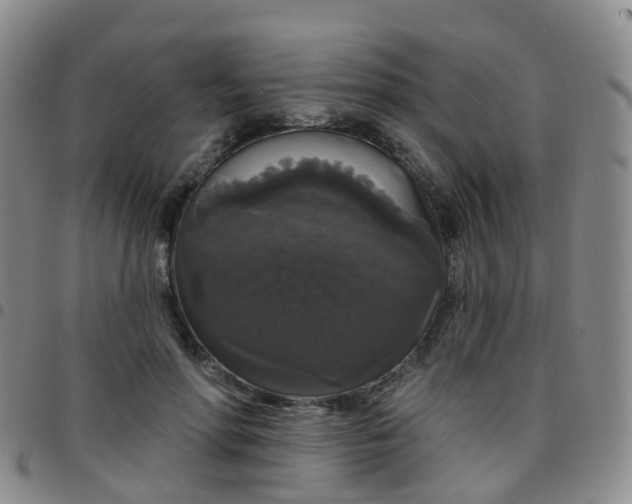 X0000097790598200803141831