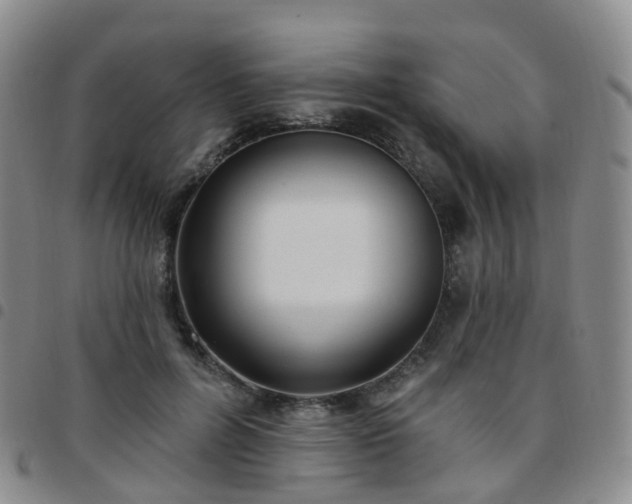 X0000097790600200803141831