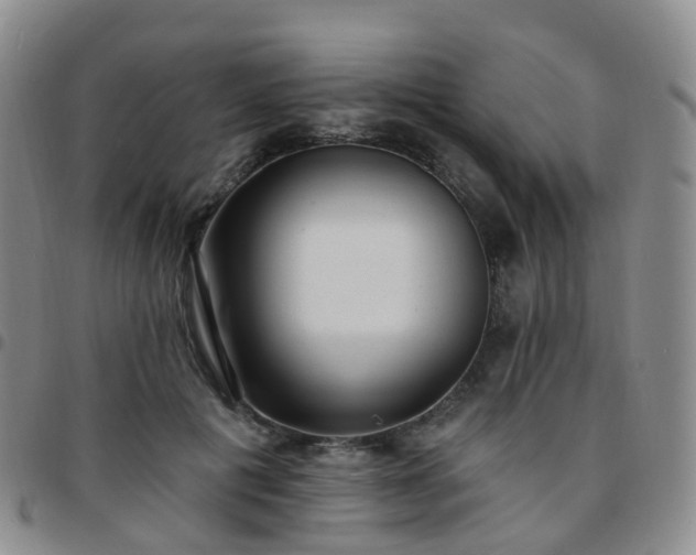 X0000097790601200803141831