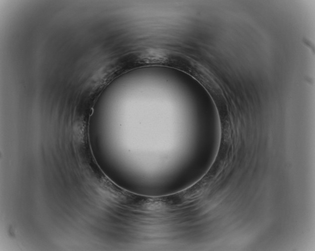 X0000097790604200803141831