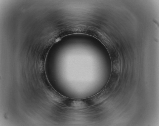 X0000097790605200803141831